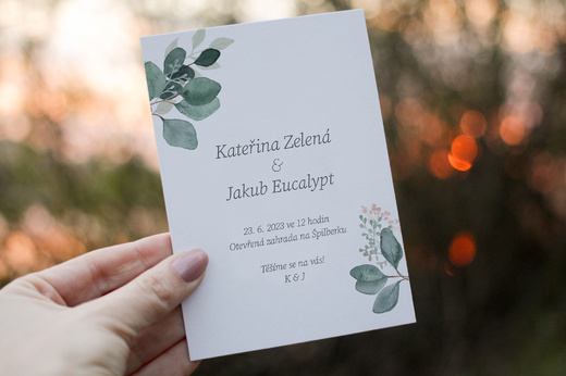 oznameni-na-svatbu-eukalyptus-zelene.jpg